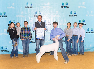 Petunia”
Champion Whiteface Ewe - Show B
3rd Overall Whiteface Ewe - Show A
Revival “